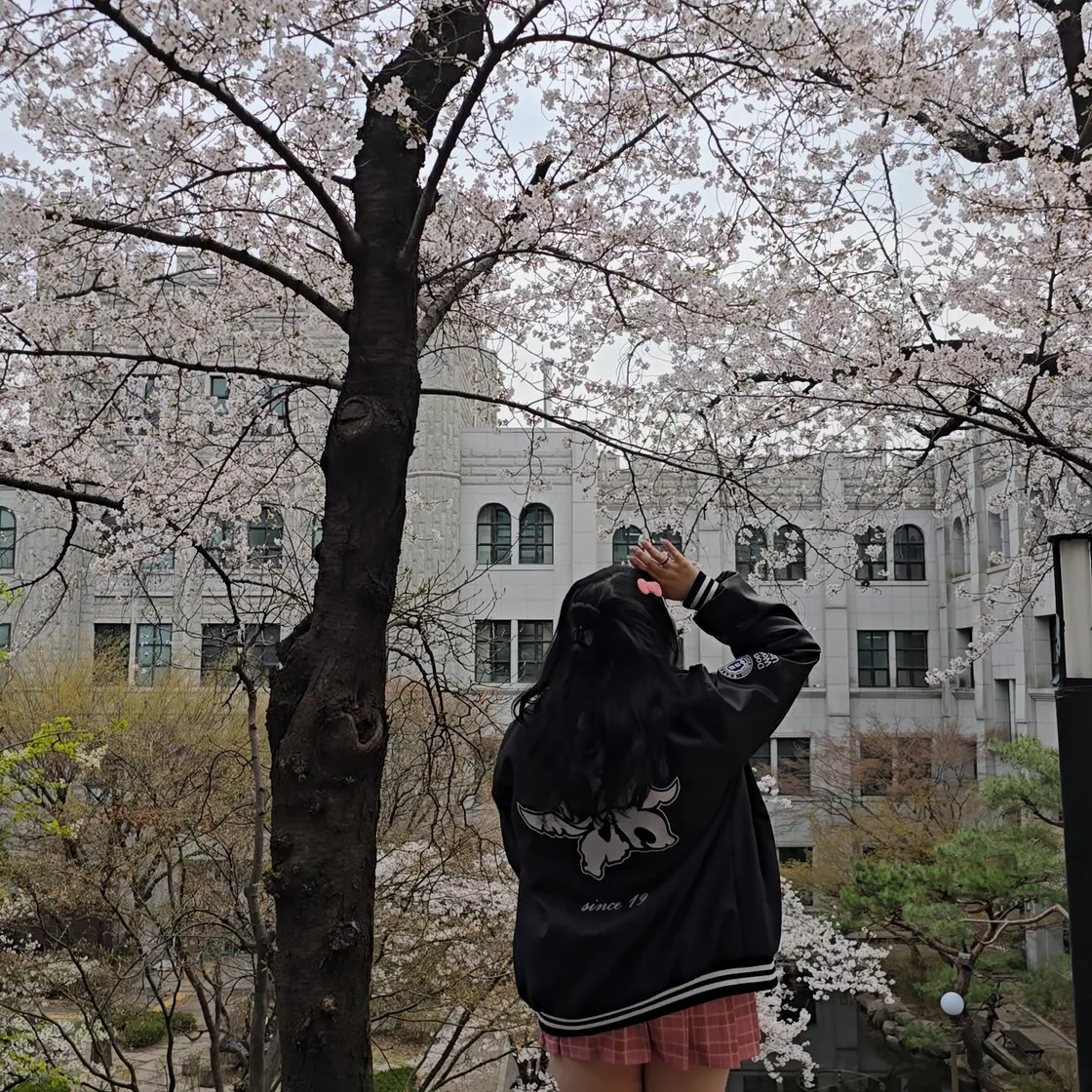 벚꽃 아래에서 학잠을 입은 실제 후기 사진